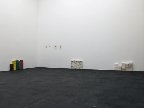 Irene van de Mheen au CRAC LR