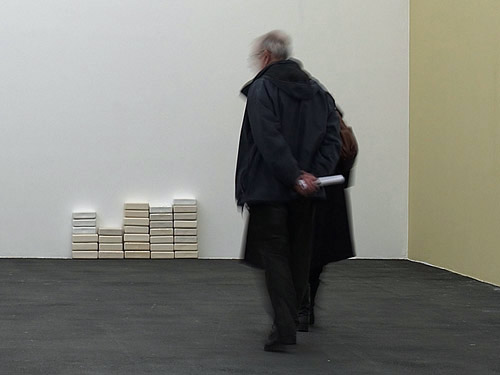 Irene van de Mheen au CRAC LR